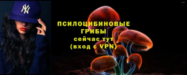 хмурый Балабаново