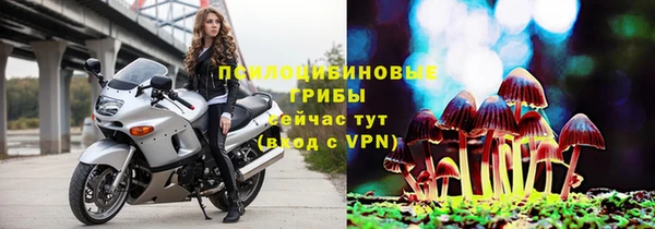 хмурый Балабаново